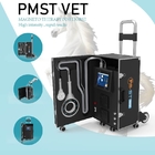 آلة العلاج الطبيعي EMTT PEMF للخيول المغنطيسية لتورم العضلات والتهابها