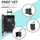 EMTT Shockwave Therapy Machine 4 Tesla Veterinary Device لتحفيز عضلات الحصان