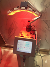 8 بوصة تعمل باللمس Pdt Beauty Machine ، آلة العلاج بالضوء LED ، ضمان لمدة سنة واحدة