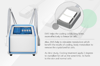 الصفحة الرئيسية EMS آلة تجميد الدهون تحلل الدهون بالتبريد لتقليل السيلوليت
