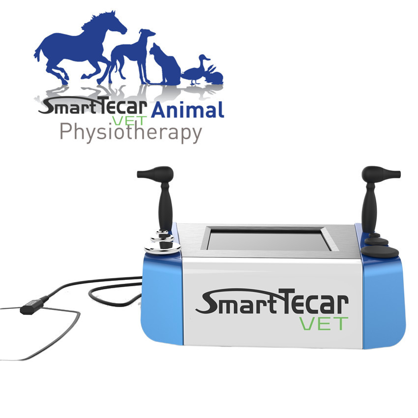 آلة العلاج الطبيعي البيطري المحمولة Tecar للحيوانات الأليفة والكلاب والقطط وتخفيف الآلام